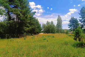 Działka na sprzedaż 2000m2 białostocki Choroszcz Zaczerlany - zdjęcie 2