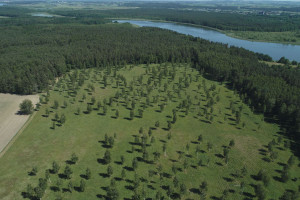 Działka na sprzedaż 1350m2 ostródzki Miłomłyn Boguszewo - zdjęcie 2