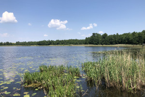 Działka na sprzedaż 1000m2 giżycki Wydminy Talki - zdjęcie 4