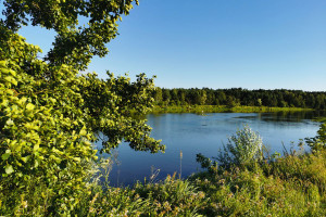 Działka na sprzedaż 9050m2 siemiatycki Siemiatycze Anusin - zdjęcie 2