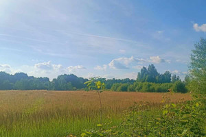 Działka na sprzedaż 1000m2 białostocki Zabłudów - zdjęcie 2