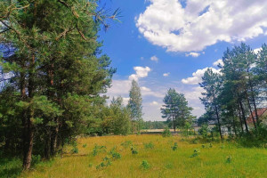 Działka na sprzedaż 2000m2 białostocki Choroszcz Zaczerlany - zdjęcie 1