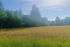 Działka na sprzedaż 1000m2 białostocki Zabłudów - zdjęcie 1