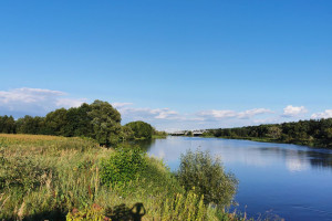 Działka na sprzedaż 9050m2 siemiatycki Siemiatycze Anusin - zdjęcie 1