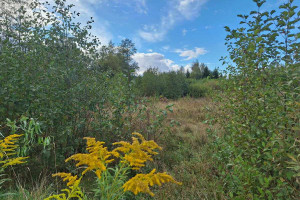 Działka na sprzedaż 900m2 białostocki Juchnowiec Kościelny Brończany - zdjęcie 2