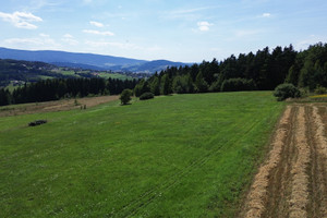 Działka na sprzedaż 8844m2 nowosądecki Grybów Biała Niżna - zdjęcie 3