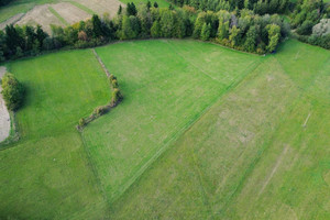 Działka na sprzedaż 10400m2 nowosądecki Korzenna Posadowa Mogilska - zdjęcie 1