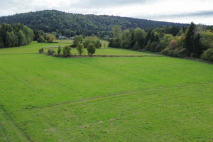 Działka na sprzedaż 10400m2 nowosądecki Korzenna Posadowa Mogilska - zdjęcie 3