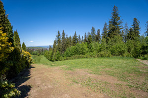 Działka na sprzedaż 5581m2 tatrzański Bukowina Tatrzańska - zdjęcie 2