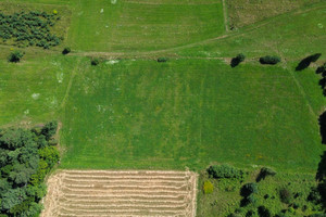 Działka na sprzedaż 8844m2 nowosądecki Grybów Biała Niżna - zdjęcie 2