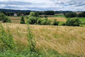 Działka na sprzedaż 10602m2 gorlicki Biecz Sitnica - zdjęcie 2