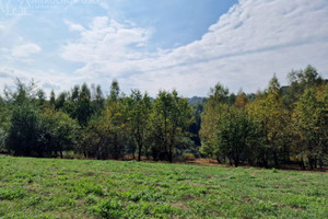 Działka na sprzedaż 4632m2 tarnowski Tuchów - zdjęcie 2