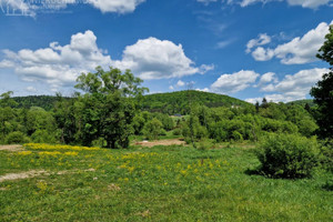 Działka na sprzedaż 2000m2 gorlicki Uście Gorlickie Wysowa-Zdrój - zdjęcie 1