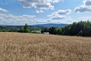 Działka na sprzedaż 2200m2 jasielski Brzyska Błażkowa - zdjęcie 1