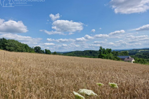 Działka na sprzedaż 2200m2 jasielski Brzyska Błażkowa - zdjęcie 2