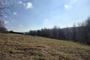 Działka na sprzedaż 4632m2 tarnowski Tuchów - zdjęcie 3