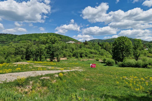 Działka na sprzedaż 2000m2 gorlicki Uście Gorlickie Wysowa-Zdrój - zdjęcie 2