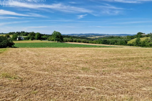 Działka na sprzedaż 2400m2 tarnowski Rzepiennik Strzyżewski Turza - zdjęcie 2