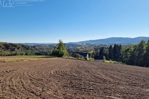 Działka na sprzedaż 2200m2 jasielski Brzyska Błażkowa - zdjęcie 2