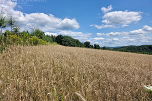 Działka na sprzedaż 2200m2 jasielski Brzyska Błażkowa - zdjęcie 3