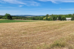 Działka na sprzedaż 2400m2 tarnowski Rzepiennik Strzyżewski Turza - zdjęcie 1