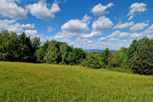 Działka na sprzedaż 1063m2 tarnowski Rzepiennik Strzyżewski Turza - zdjęcie 1