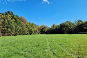 Działka na sprzedaż 3900m2 gorlicki Biecz Strzeszyn - zdjęcie 3