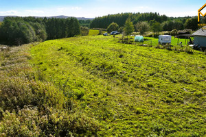 Działka na sprzedaż 7000m2 dębicki Pilzno Łęki Górne - zdjęcie 3