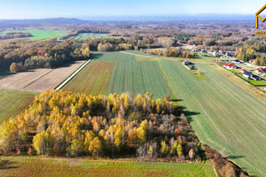 Działka na sprzedaż 2389m2 tarnowski Skrzyszów Pogórska Wola - zdjęcie 2