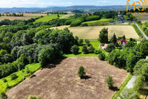 Działka na sprzedaż 2245m2 brzeski Czchów Złota - zdjęcie 3