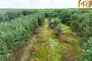 Działka na sprzedaż 1200m2 dębicki Czarna Żdżary - zdjęcie 3