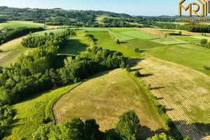 Działka na sprzedaż 47900m2 tarnowski Ryglice - zdjęcie 2