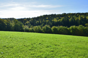 Działka na sprzedaż 12700m2 myślenicki Raciechowice Gruszów - zdjęcie 3