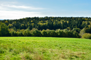 Działka na sprzedaż 12700m2 myślenicki Raciechowice Gruszów - zdjęcie 1