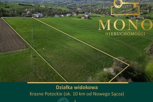 Działka na sprzedaż 8200m2 nowosądecki Chełmiec Krasne Potockie - zdjęcie 1