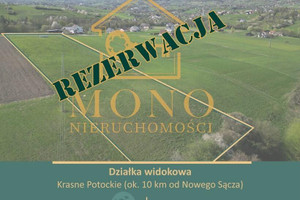 Działka na sprzedaż 8200m2 nowosądecki Chełmiec Krasne Potockie - zdjęcie 1