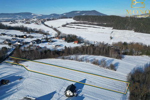 Działka na sprzedaż 4200m2 nowosądecki Chełmiec Krasne Potockie - zdjęcie 3