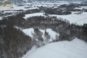 Działka na sprzedaż 27000m2 tarnowski Tuchów Łowczów - zdjęcie 2