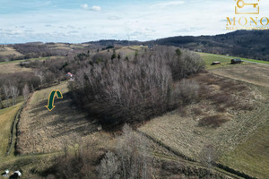 Działka na sprzedaż 5000m2 tarnowski Pleśna Lubinka - zdjęcie 2