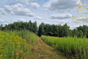 Działka na sprzedaż 13350m2 buski Busko-Zdrój Gadawa - zdjęcie 3