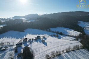 Działka na sprzedaż 4200m2 nowosądecki Chełmiec Krasne Potockie - zdjęcie 2