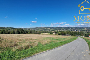 Działka na sprzedaż 9100m2 tarnowski Tuchów Buchcice - zdjęcie 2