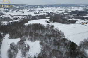 Działka na sprzedaż 27000m2 tarnowski Tuchów Łowczów - zdjęcie 3