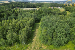 Działka na sprzedaż gorlicki Biecz Rożnowice - zdjęcie 3