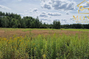 Działka na sprzedaż 13350m2 buski Busko-Zdrój Gadawa - zdjęcie 2