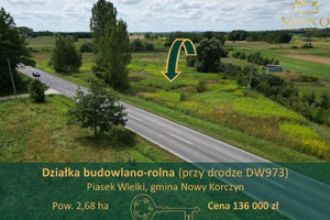 Działka na sprzedaż 26800m2 buski Nowy Korczyn Piasek Wielki - zdjęcie 1