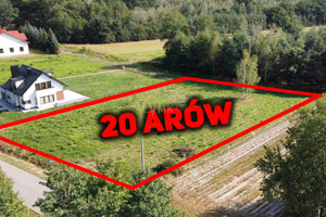 Działka na sprzedaż 2000m2 dąbrowski Szczucin Skrzynka - zdjęcie 3