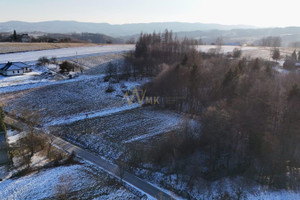 Działka na sprzedaż 3039m2 tarnowski Ryglice Zalasowa - zdjęcie 2