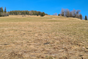 Działka na sprzedaż 2172m2 tatrzański Kościelisko Salamandra - zdjęcie 3