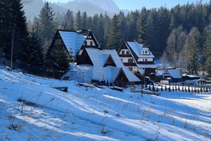 Działka na sprzedaż 2500m2 tatrzański Zakopane - zdjęcie 3